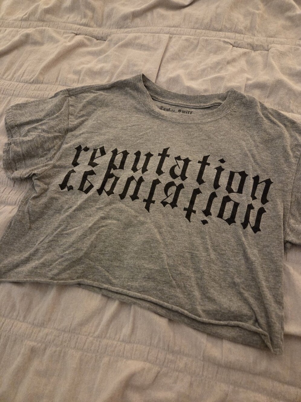 Taylor Swift Reputation Tour Gray Graphic Crop Tee - Picture 3 of 4